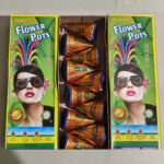 Flower Pot Asoka 1 Packet 10 Piece